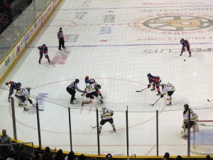 Providence Bruins Bridgeport Sound Tigers